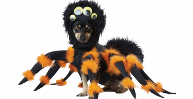 disfraz perro araña oferta
